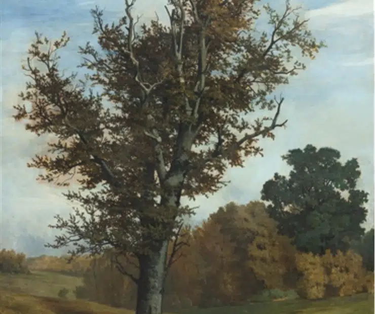 Buche in herbstlicher Landschaft, c.1872