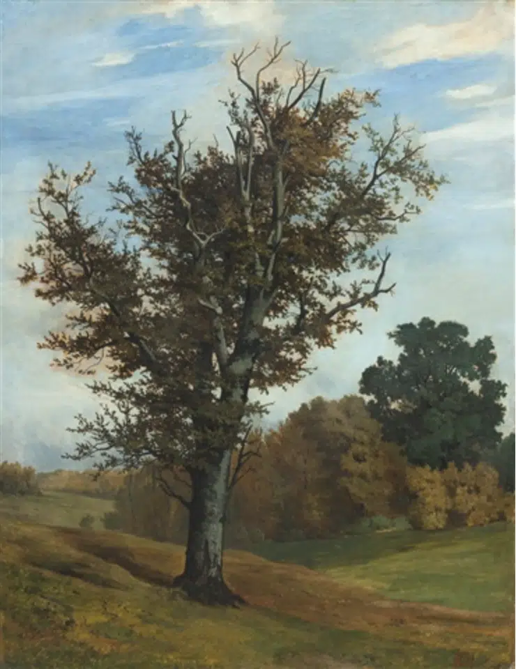 Buche in herbstlicher Landschaft, c.1872