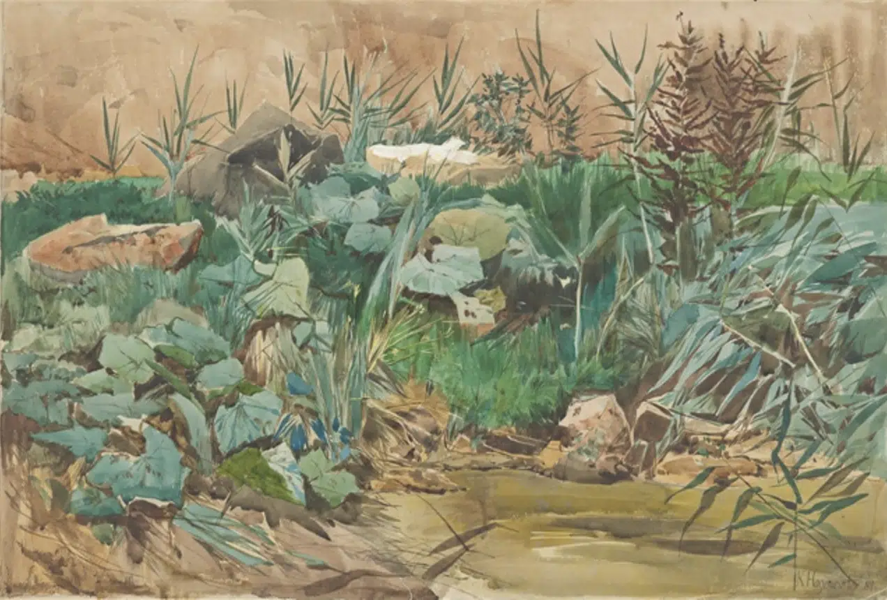 Weiherufer mit Pflanzen, 1884