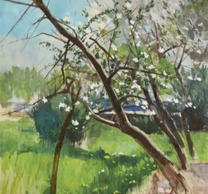 Apfelblüte, 1884