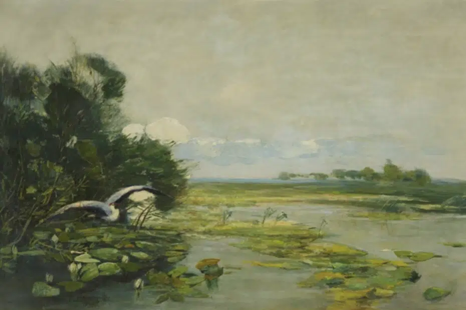 Aufsteigender Graureiher am Havelufer, 1892