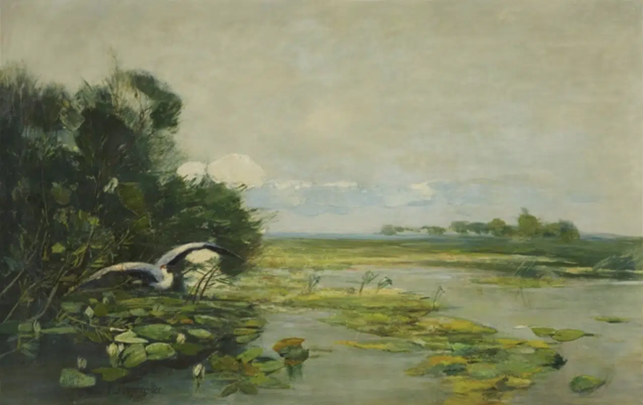 Aufsteigender Graureiher am Havelufer, 1892