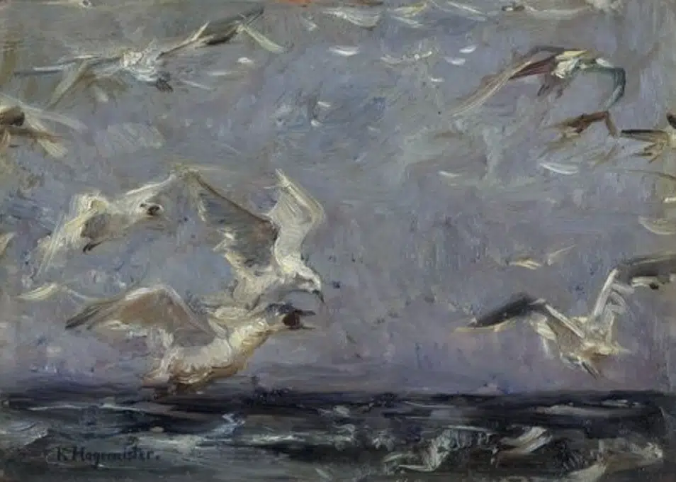 Möwenschwarm An Der Ostsee, c.1914