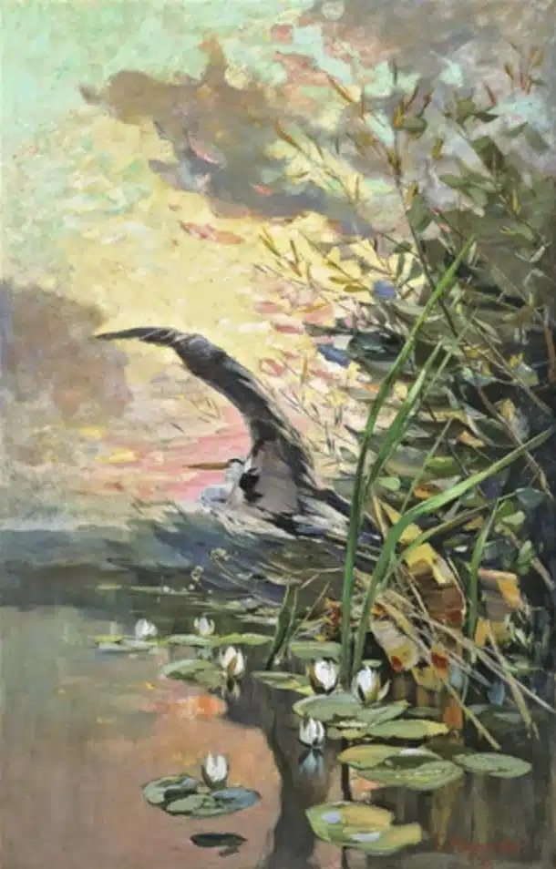 Auffliegender Reiher, 1896
