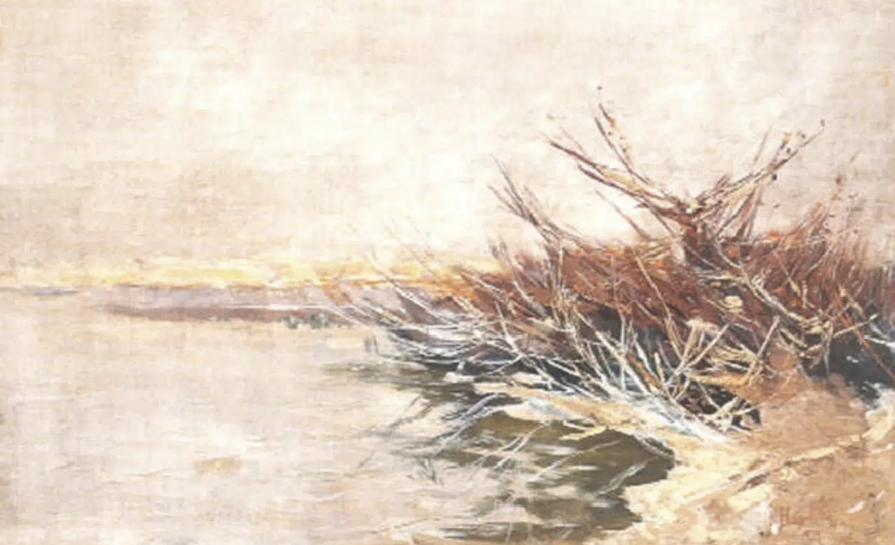 Winterliches Schilfgestrüpp am Ufer des Schwielowsees, 1903