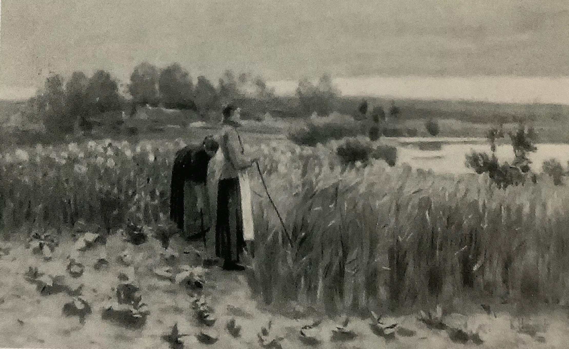 Zwei Mädchen im Mohnfeld, 1886