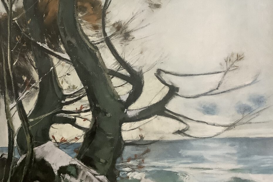 Küstenlandschaft in Lohme. Buchen am Ufer, um 1912
