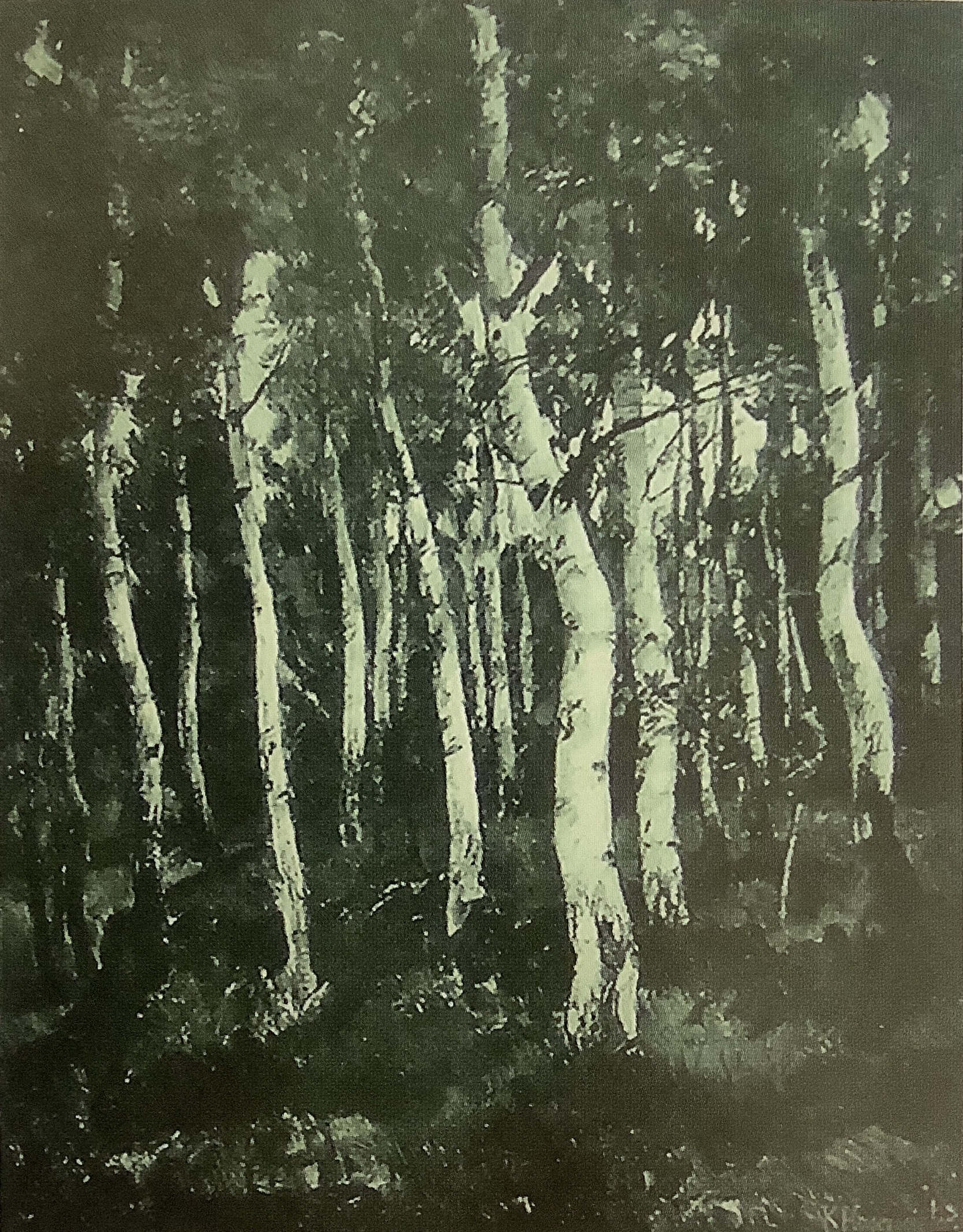 Birkenwald, um 1878