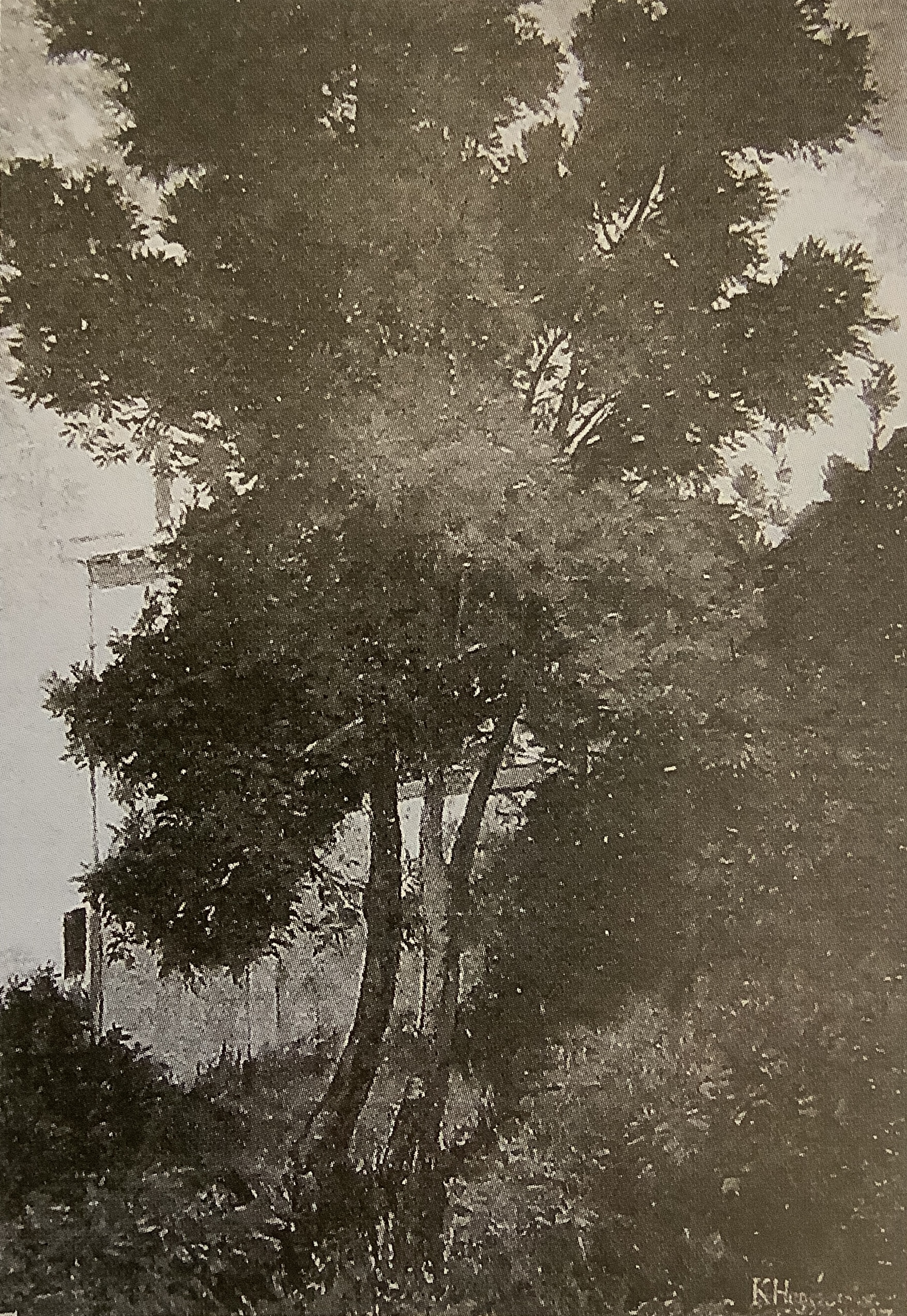 Haus unter Bäumen (Venedig), um 1877