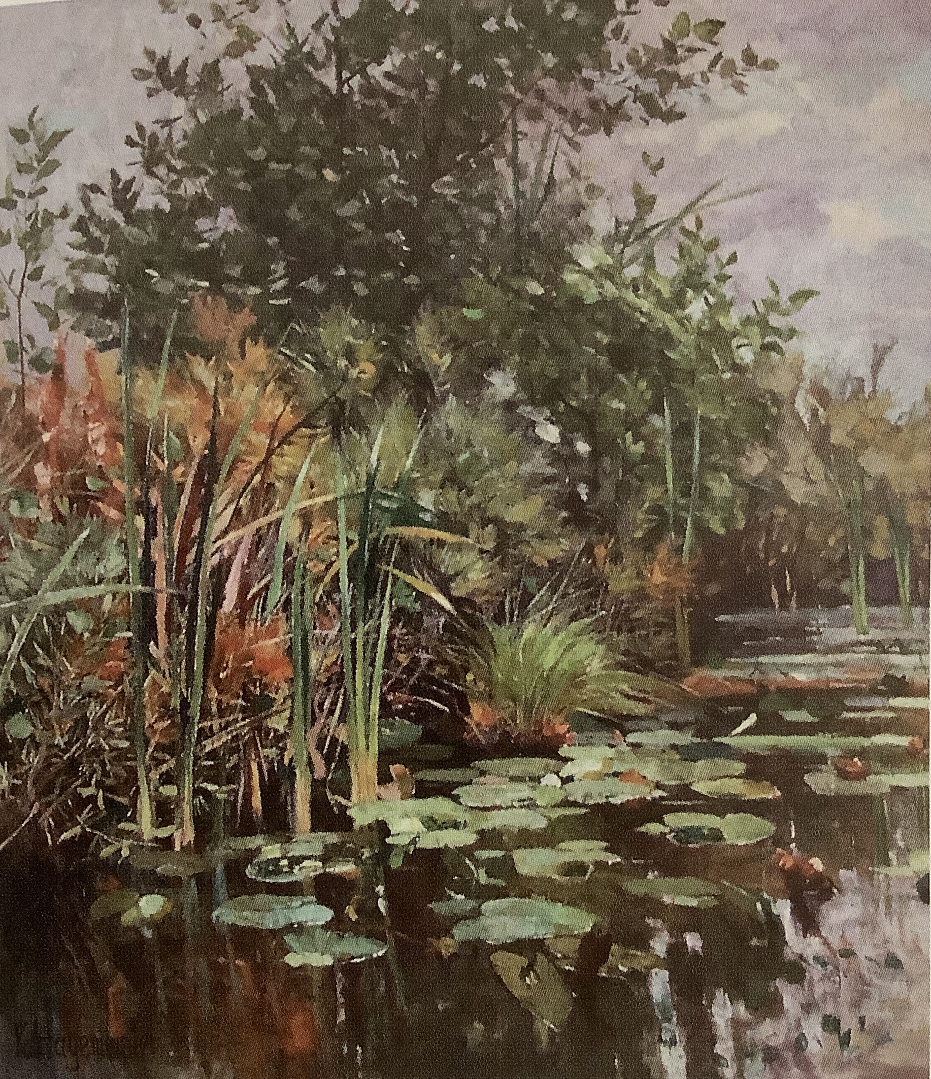 Waldweiher mit Seerosen, um 1879