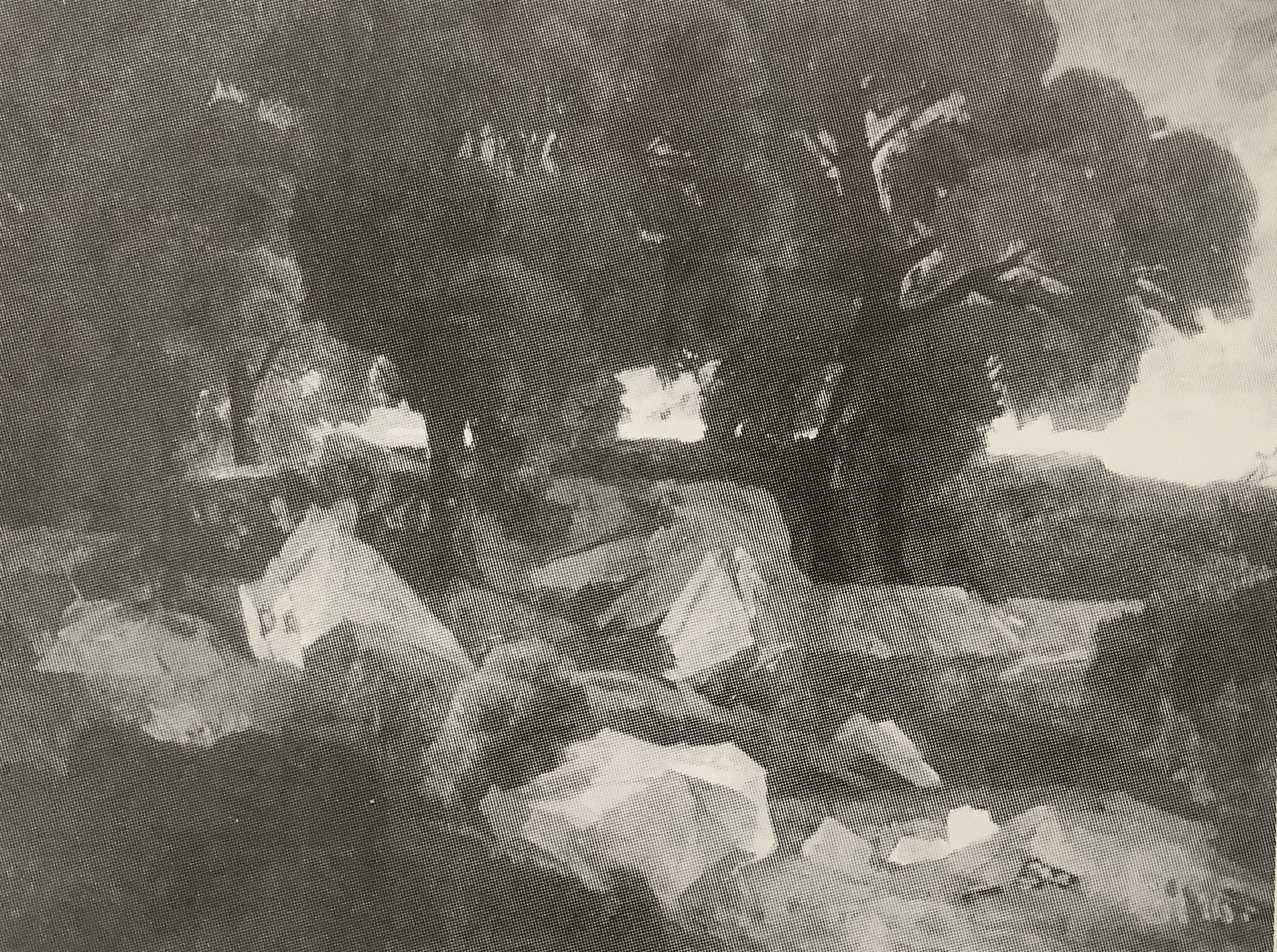 Italienische Landschaft - Olevano, 1876