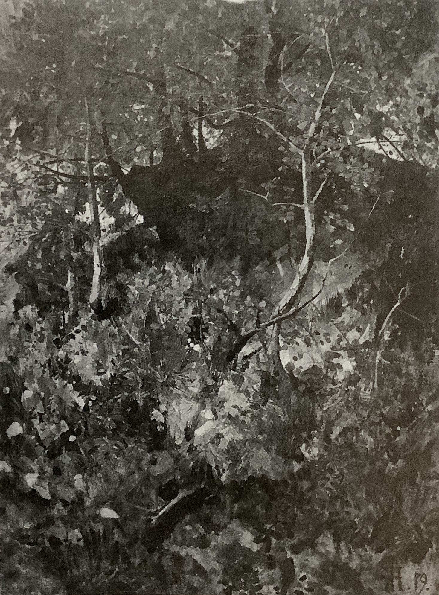Walddickicht, Alt-Geltow bei Werder, 1879