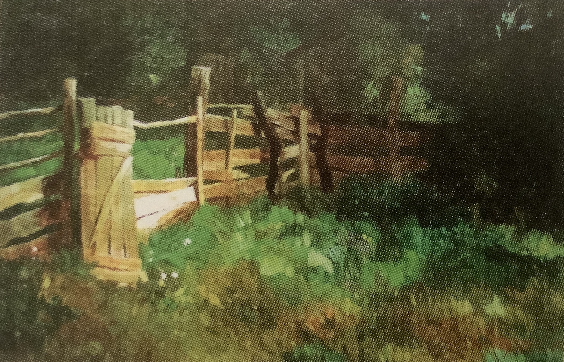 Am Gartenzaun, um 1880