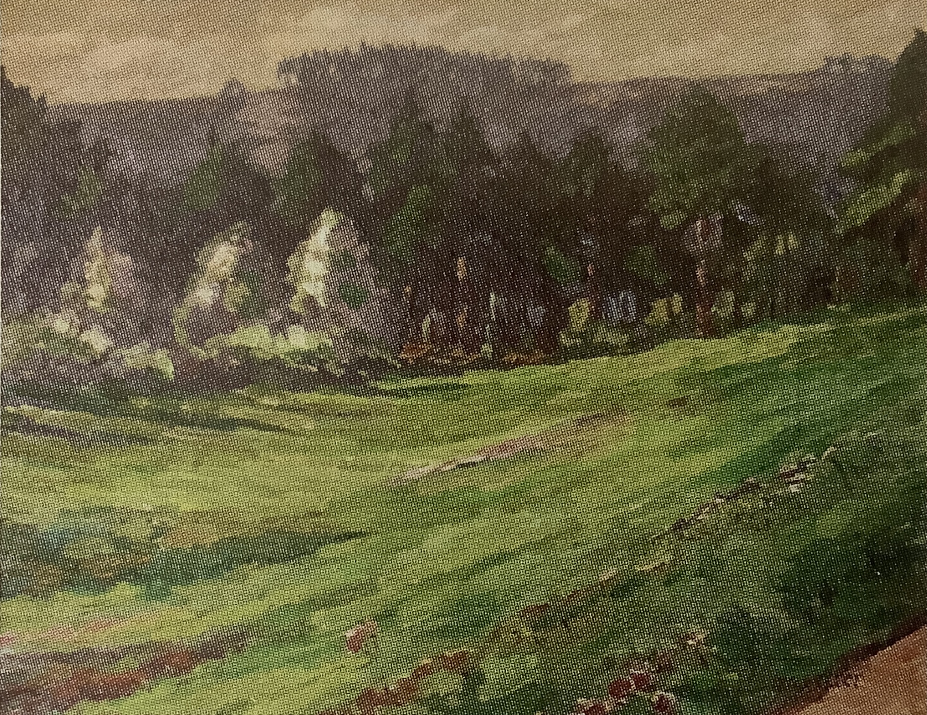 Am Waldesrand, um 1883