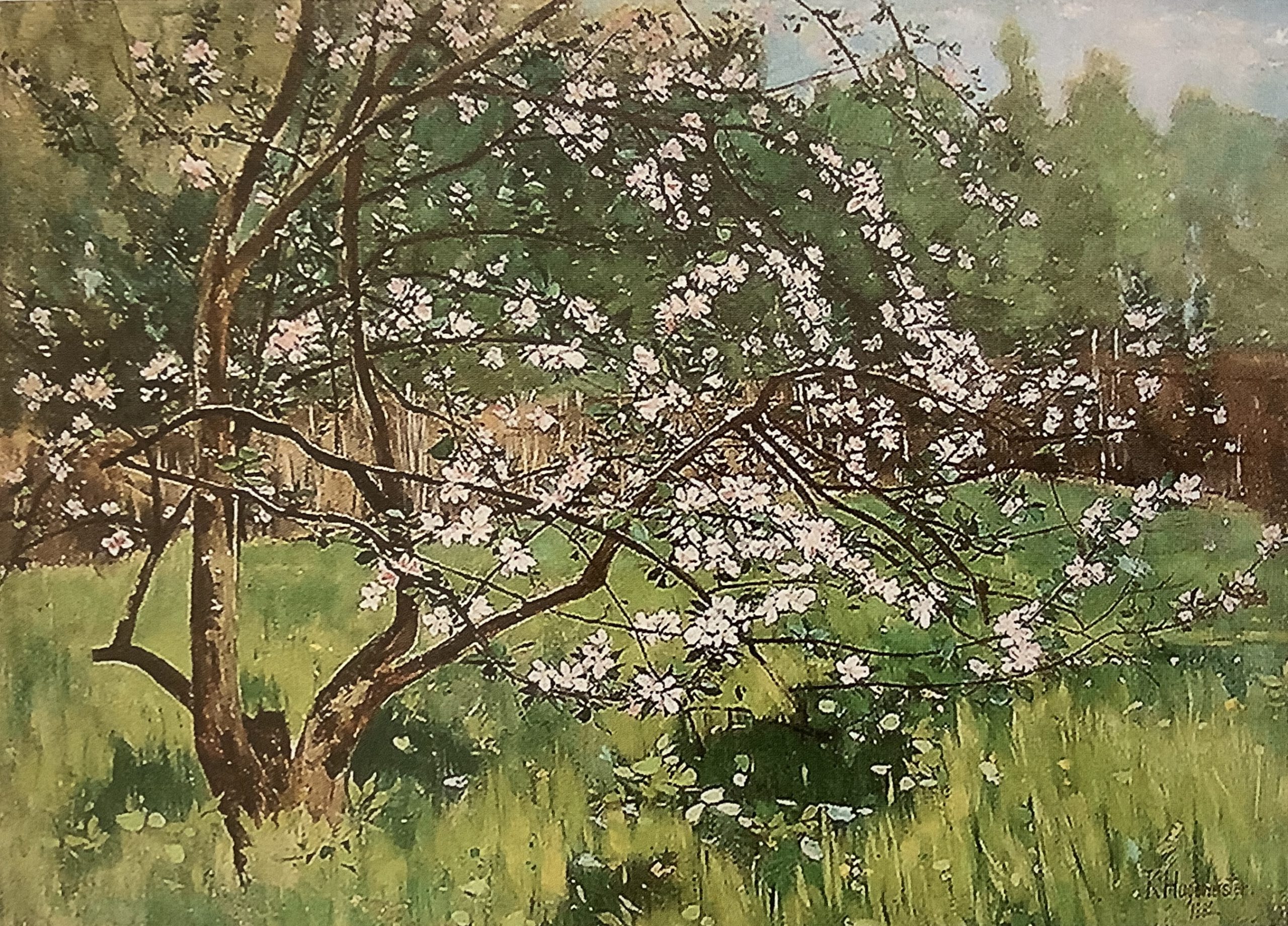 Apfelblüte, 1882