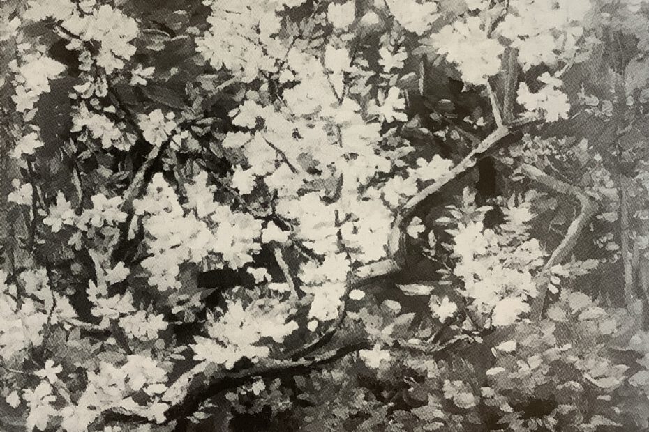 Apfelblüte, Werder, 1885