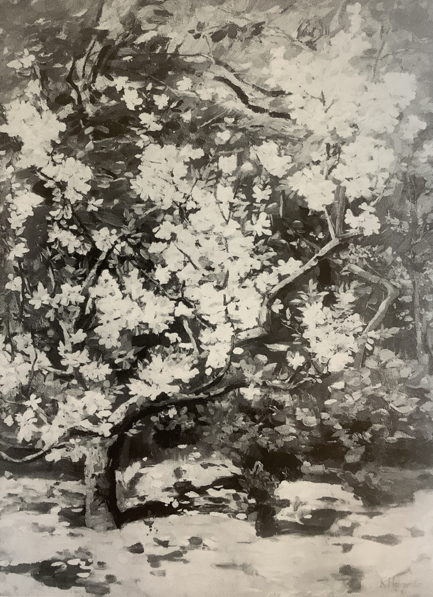 Apfelblüte, Werder, 1885 Apfelblüte, Werder, 1885
