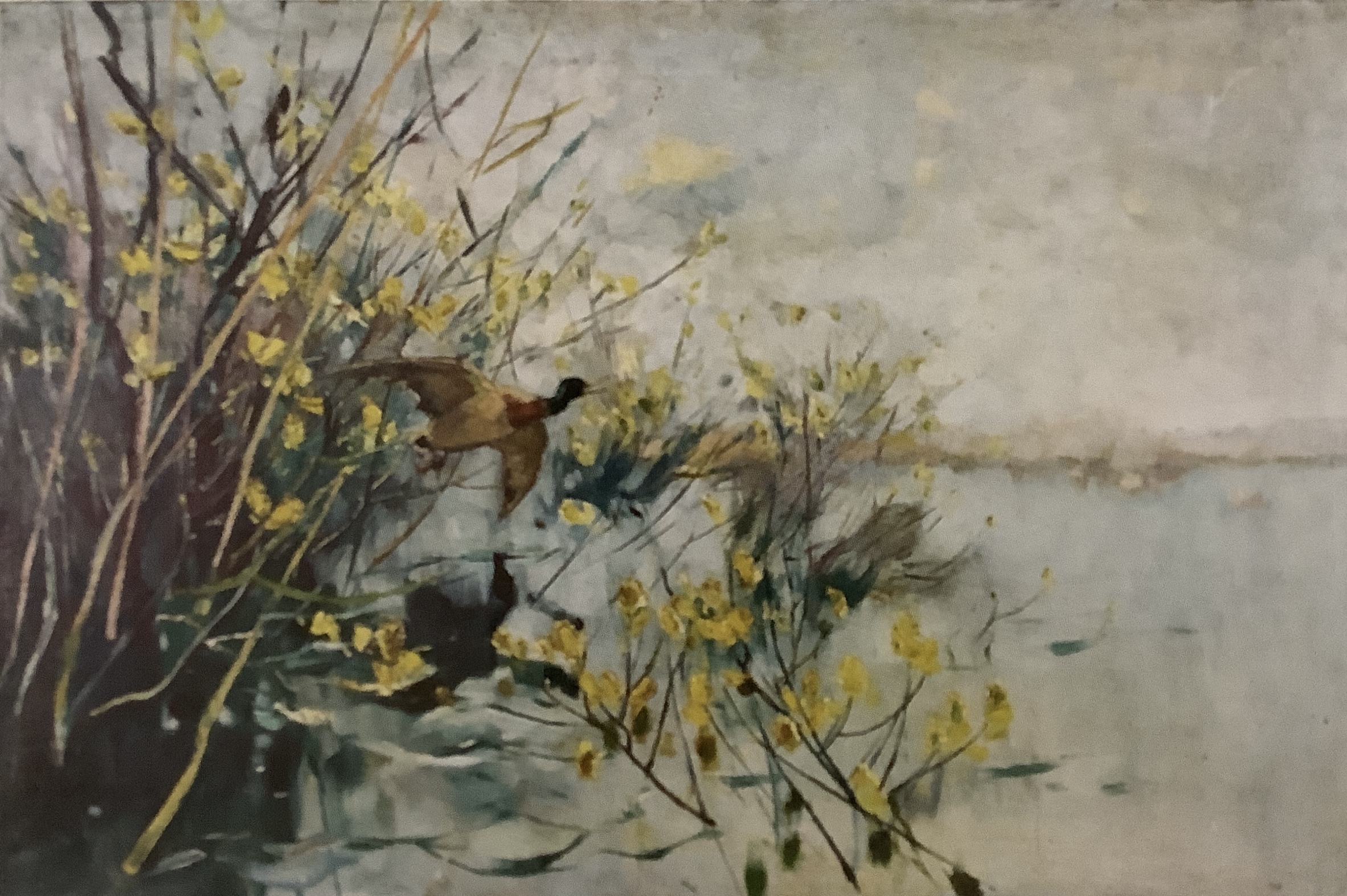 Auffliegende Wildente, um 1891