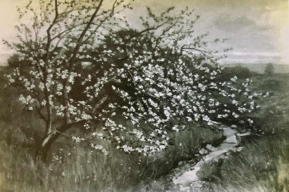 Baumblüte, Ferch, 1886