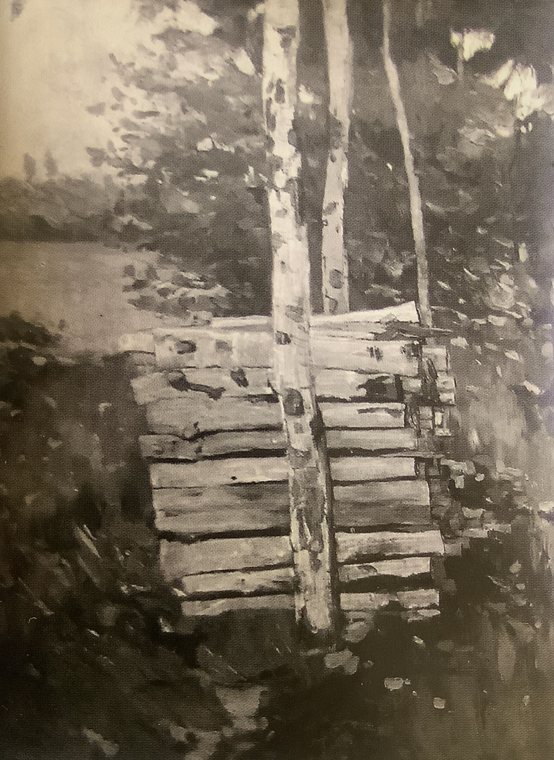 Birkenschlag, um 1880