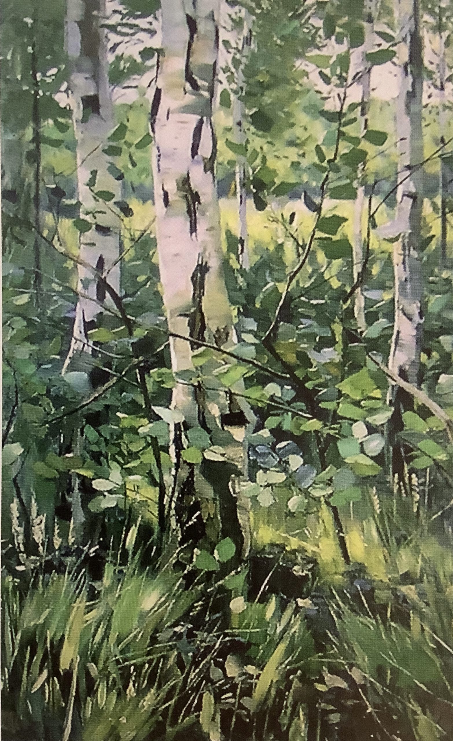 Birkenwald, 1889