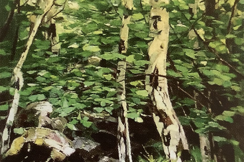 Birkenwald an einem Fußlauf im Frühling, 1892