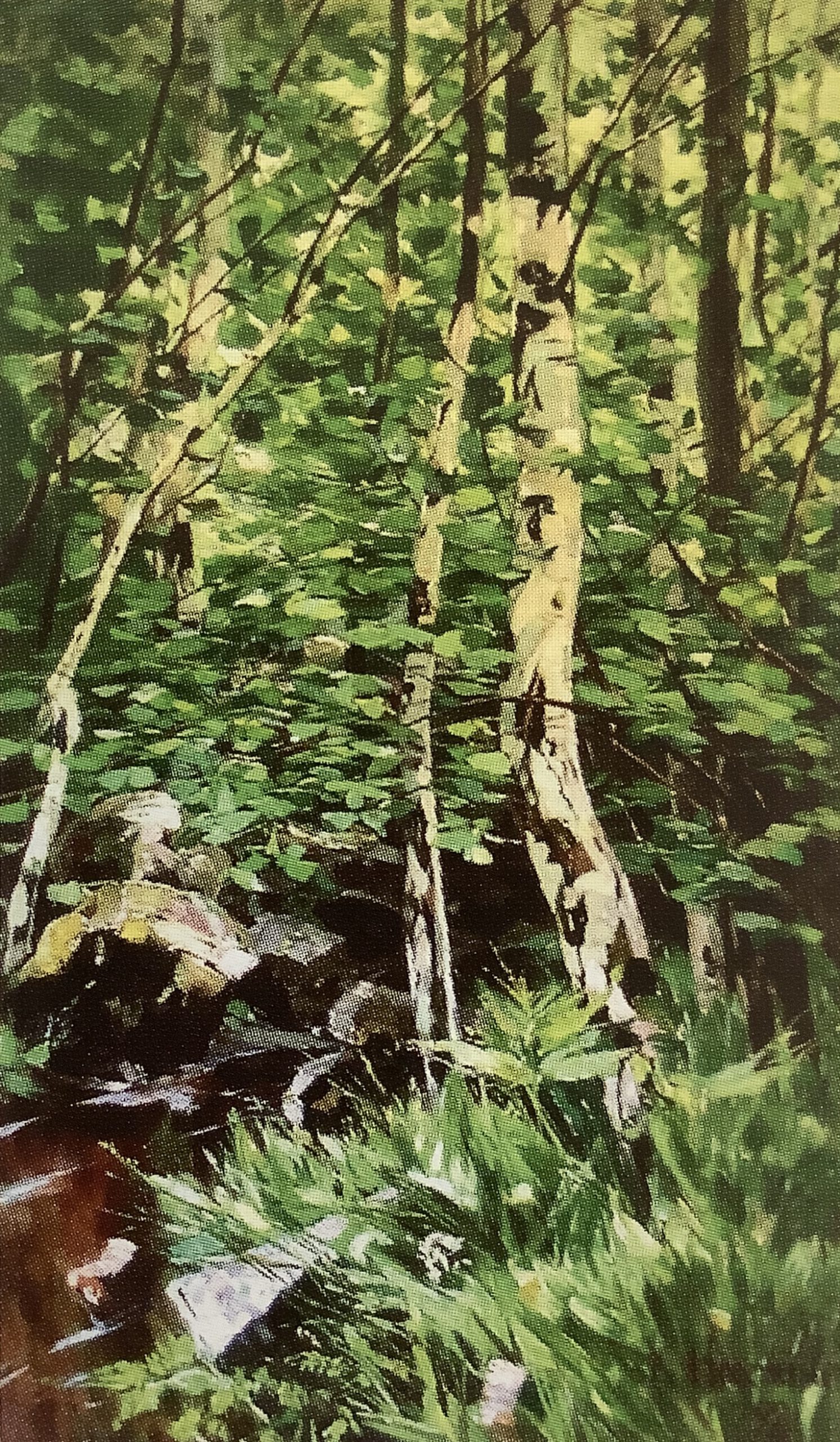 Birkenwald an einem Fußlauf im Frühling, 1892