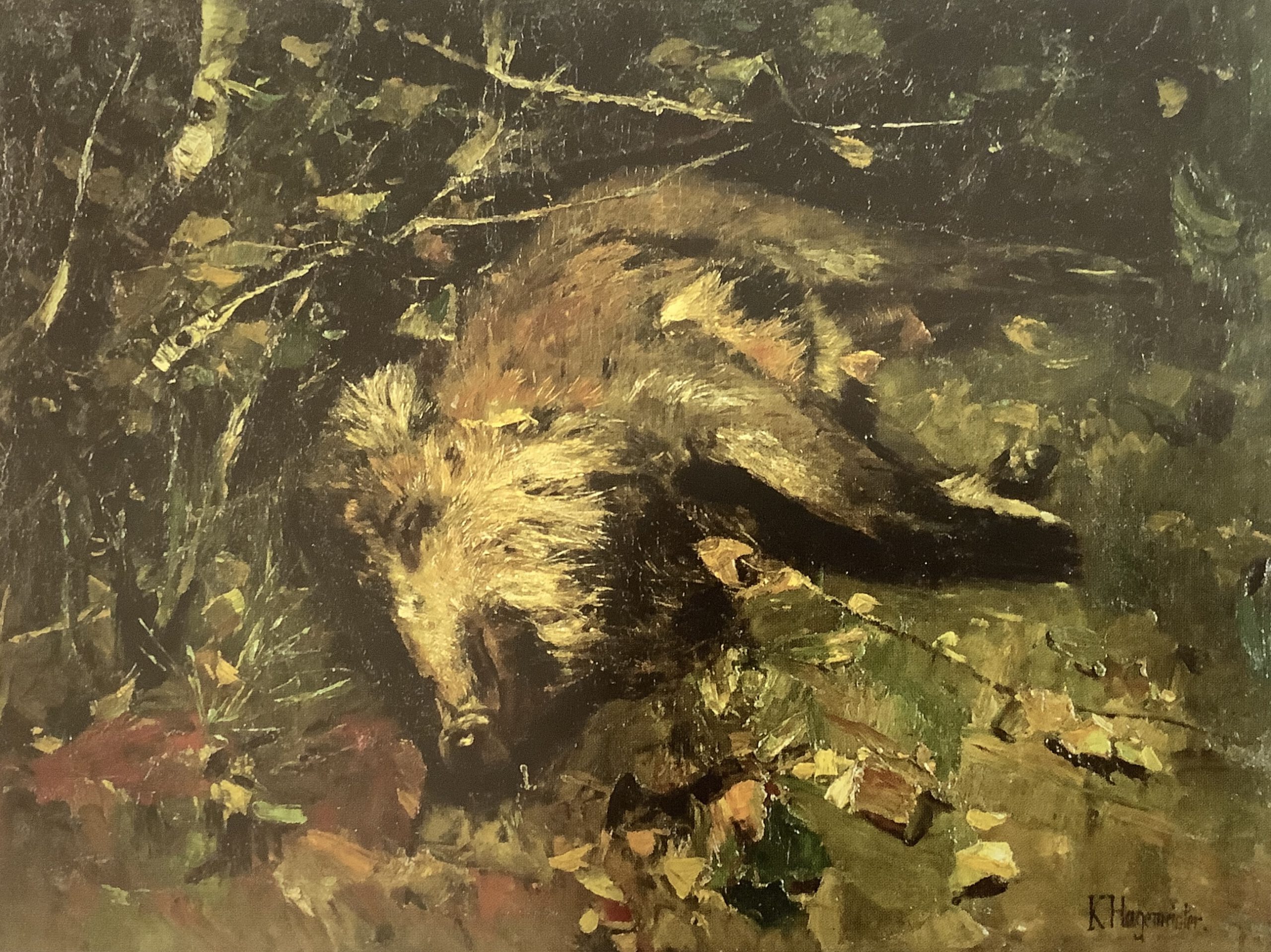 Erlegter Eber, um 1882