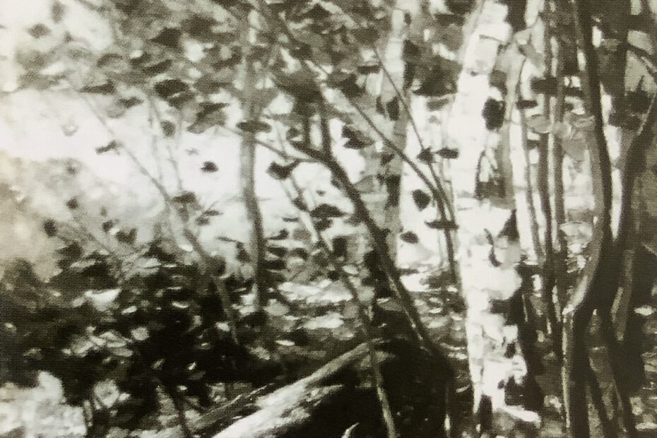 Erlegtes Reh im Wald, um 1889