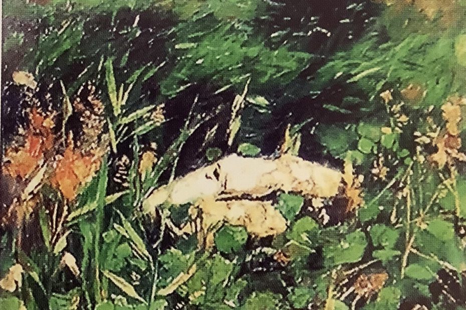 Felsblöcke an einem Hügel, 1886