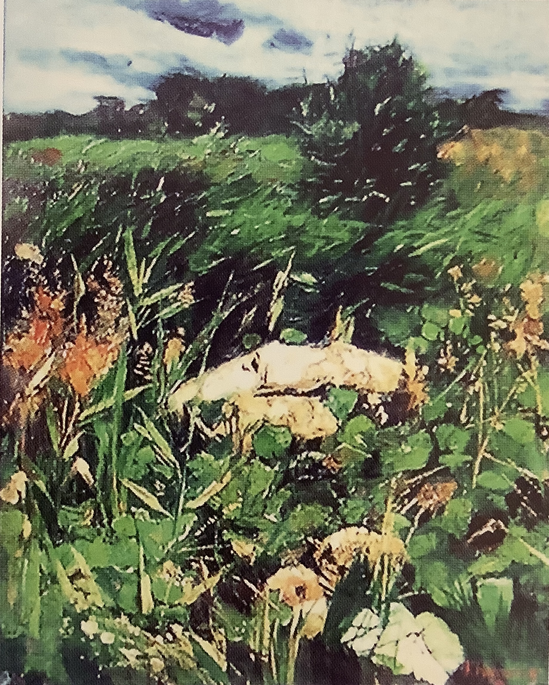 Felsblöcke an einem Hügel, 1886