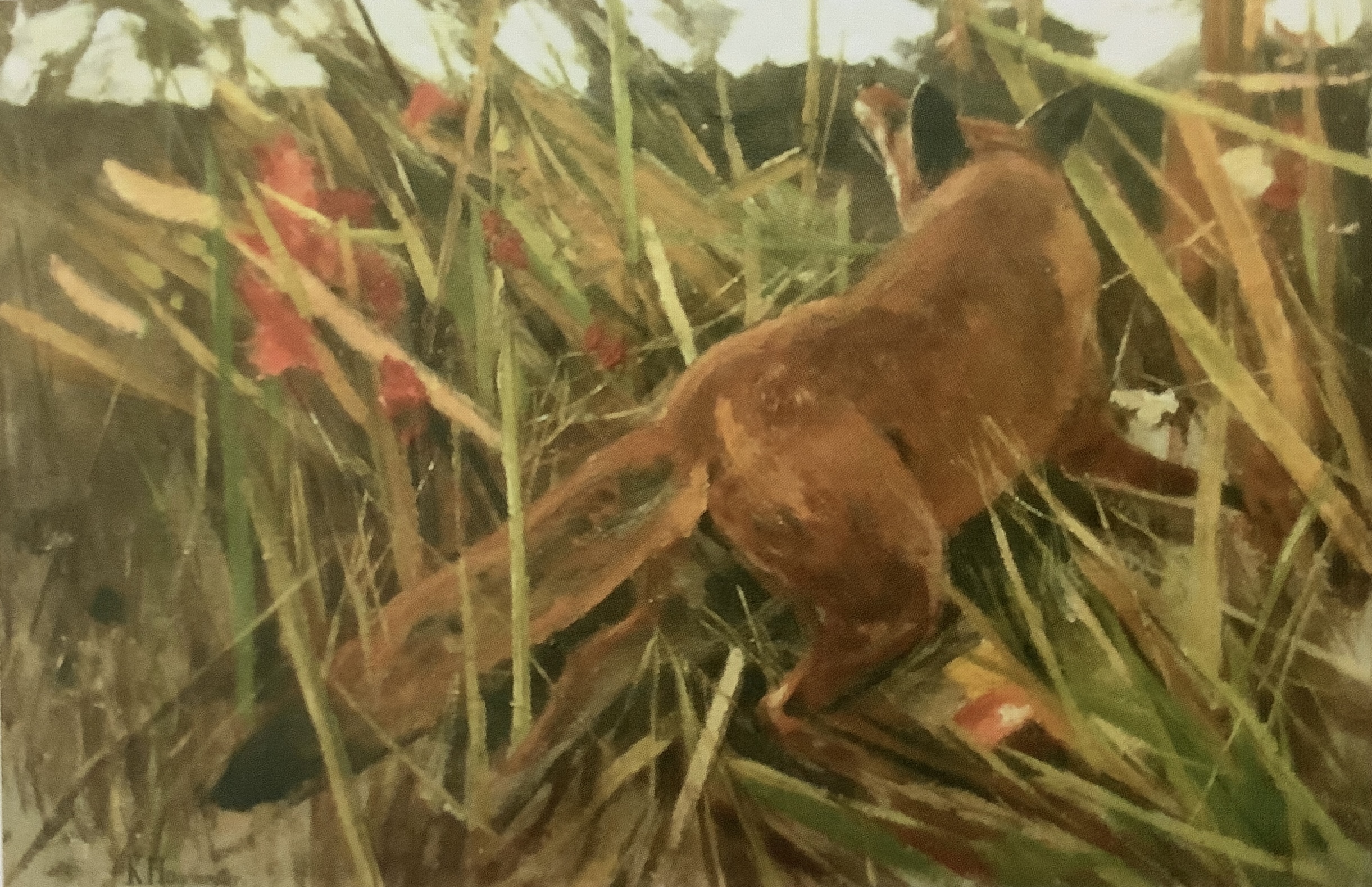 Fuchs im hohen Gras, um 1891