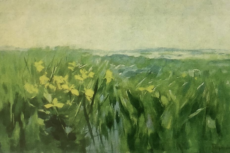 Gelbe Wasserlilien, um 1888