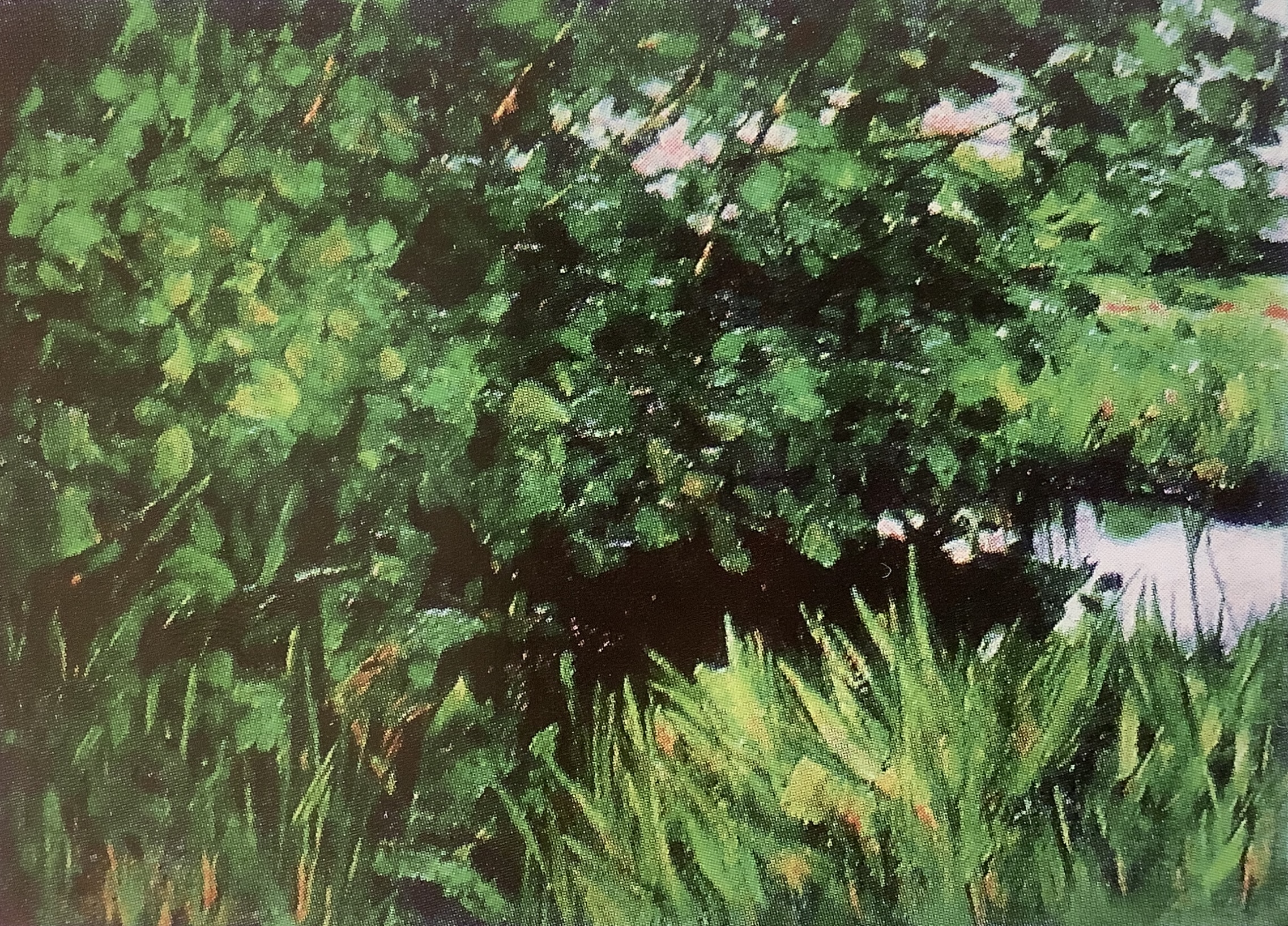 Gesträuch an einem Wasser, um 1884