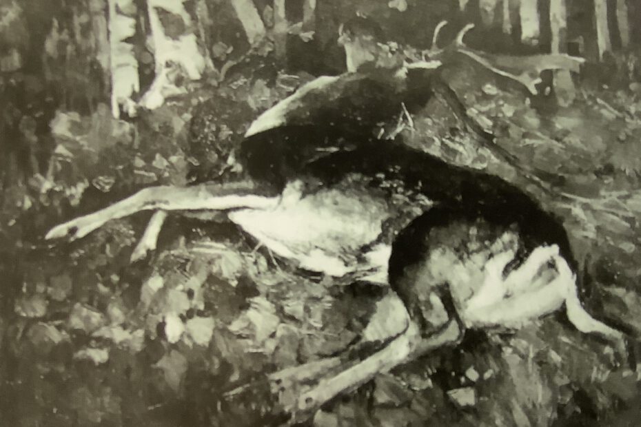 Hirsch unter Birken (toter Damhirsch), um 1882