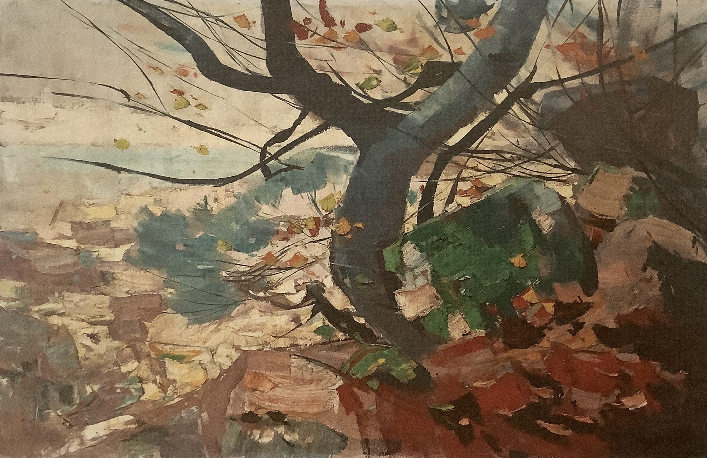 Steilküste aur Rügen - Herbstliches Meeresufer, um 1912 Steilküste aur Rügen - Herbstliches Meeresufer, um 1912