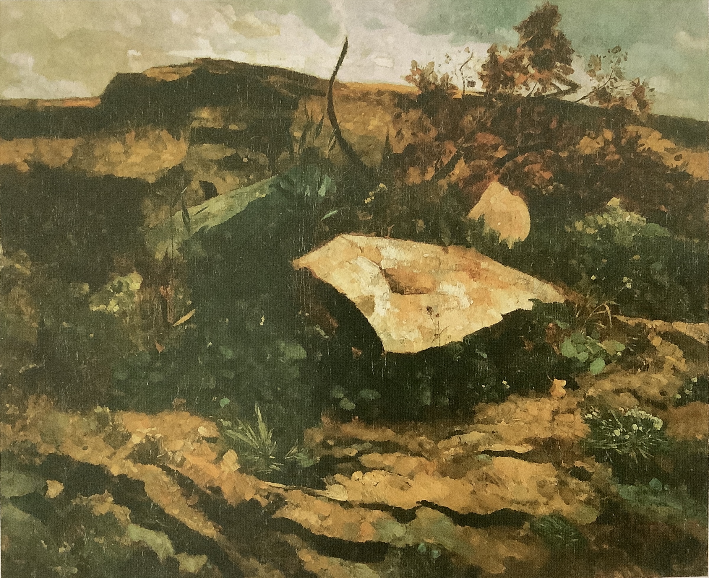 Steinblöcke und Buschwerk (Märkische Landschaft), um 1879