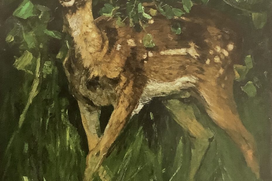 Junger Damhirsch, um 1883