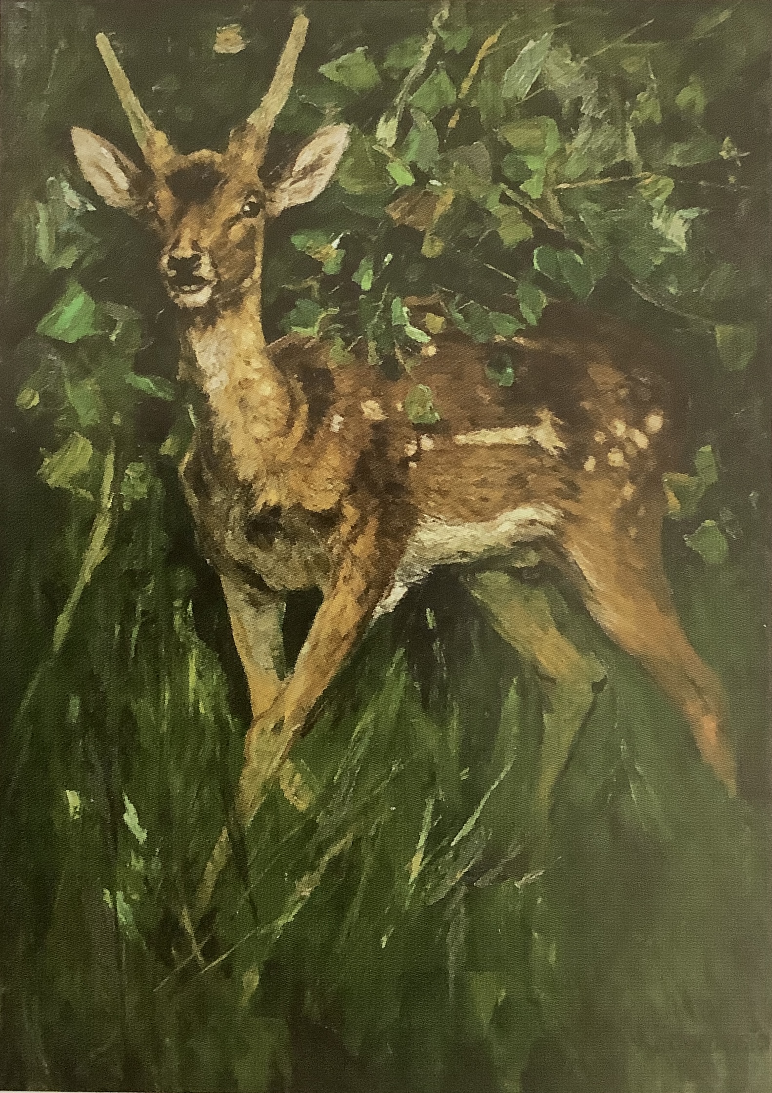 Junger Damhirsch, um 1883