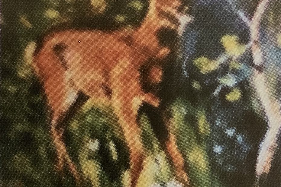 Junger Rehbock am Waldbach, um 1883