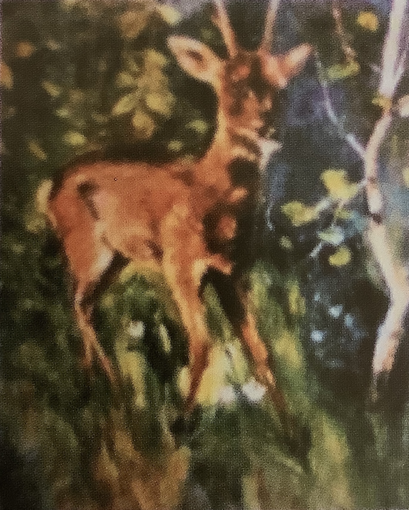 Junger Rehbock am Waldbach, um 1883