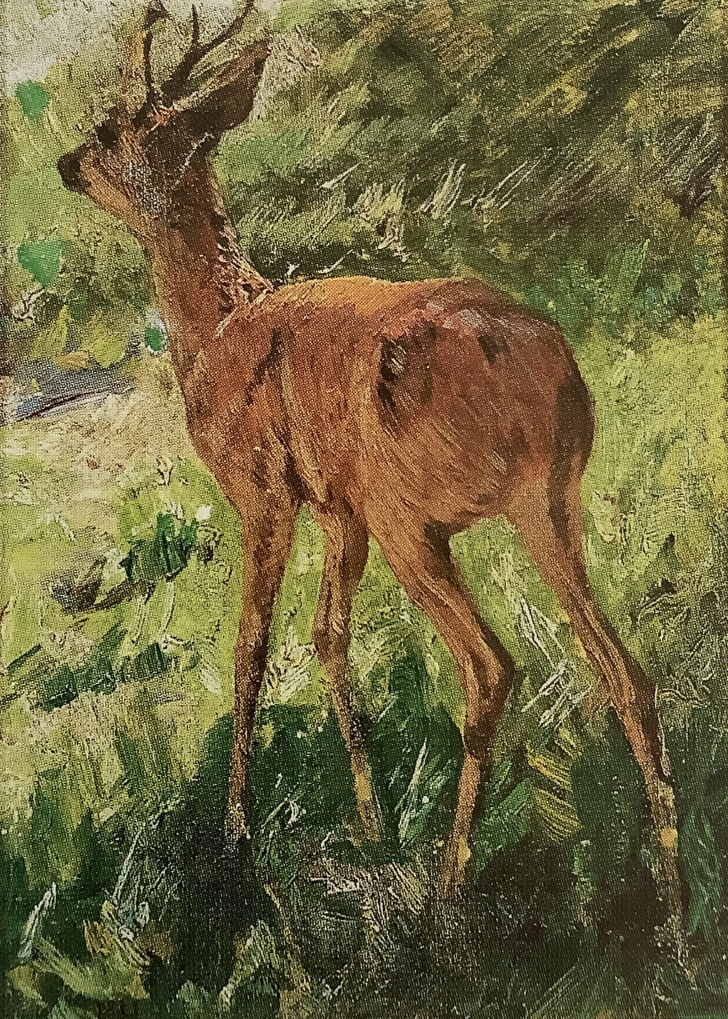 Junger Rehbock, um 1883