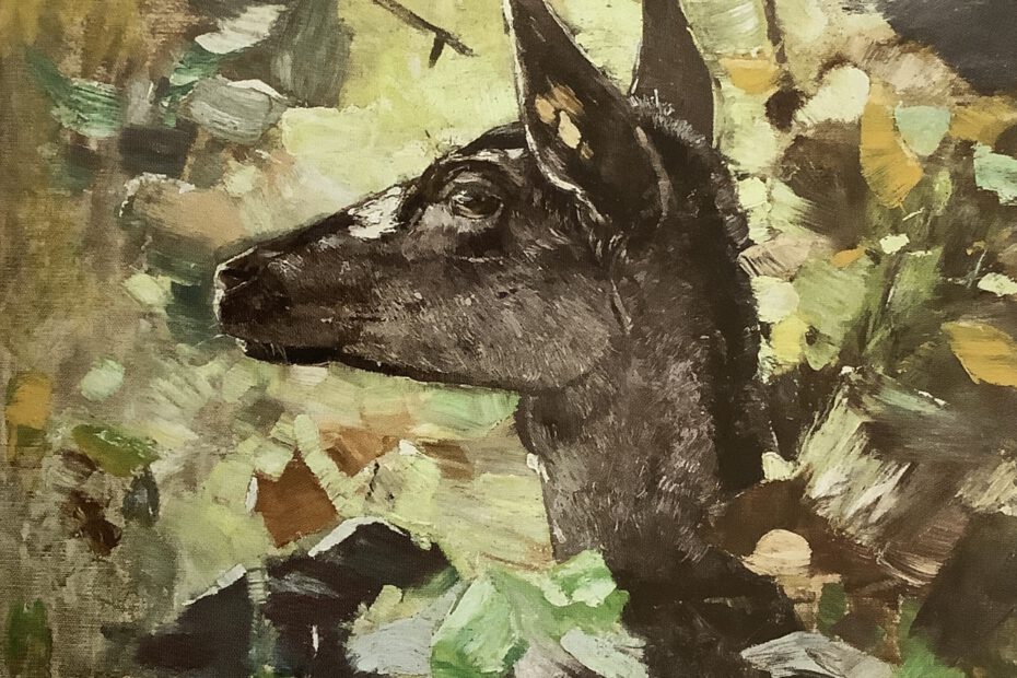 Kopf einer Damwildkuh, um 1883