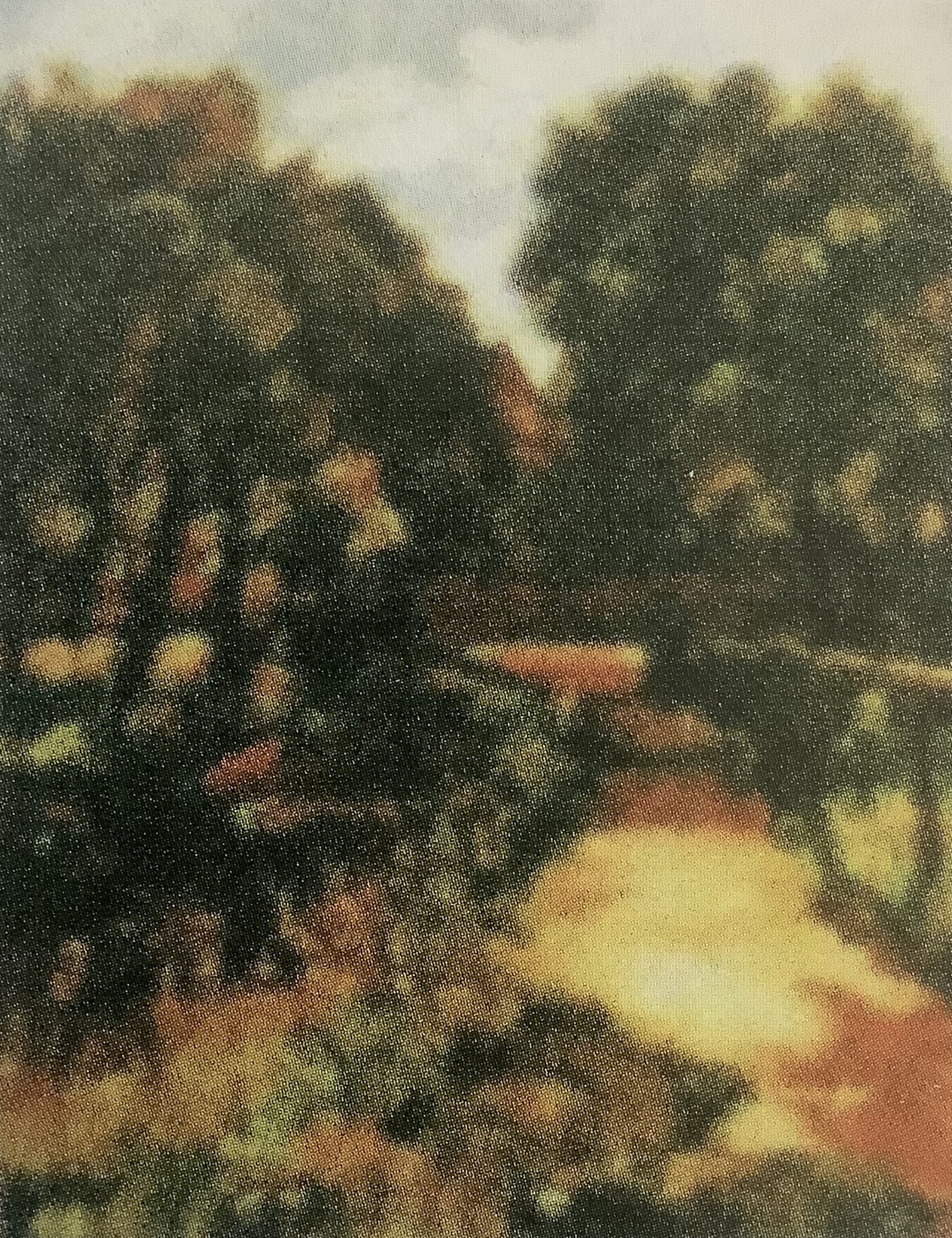 Landschaft mit Holzsteg und Bäuerin, um 1884