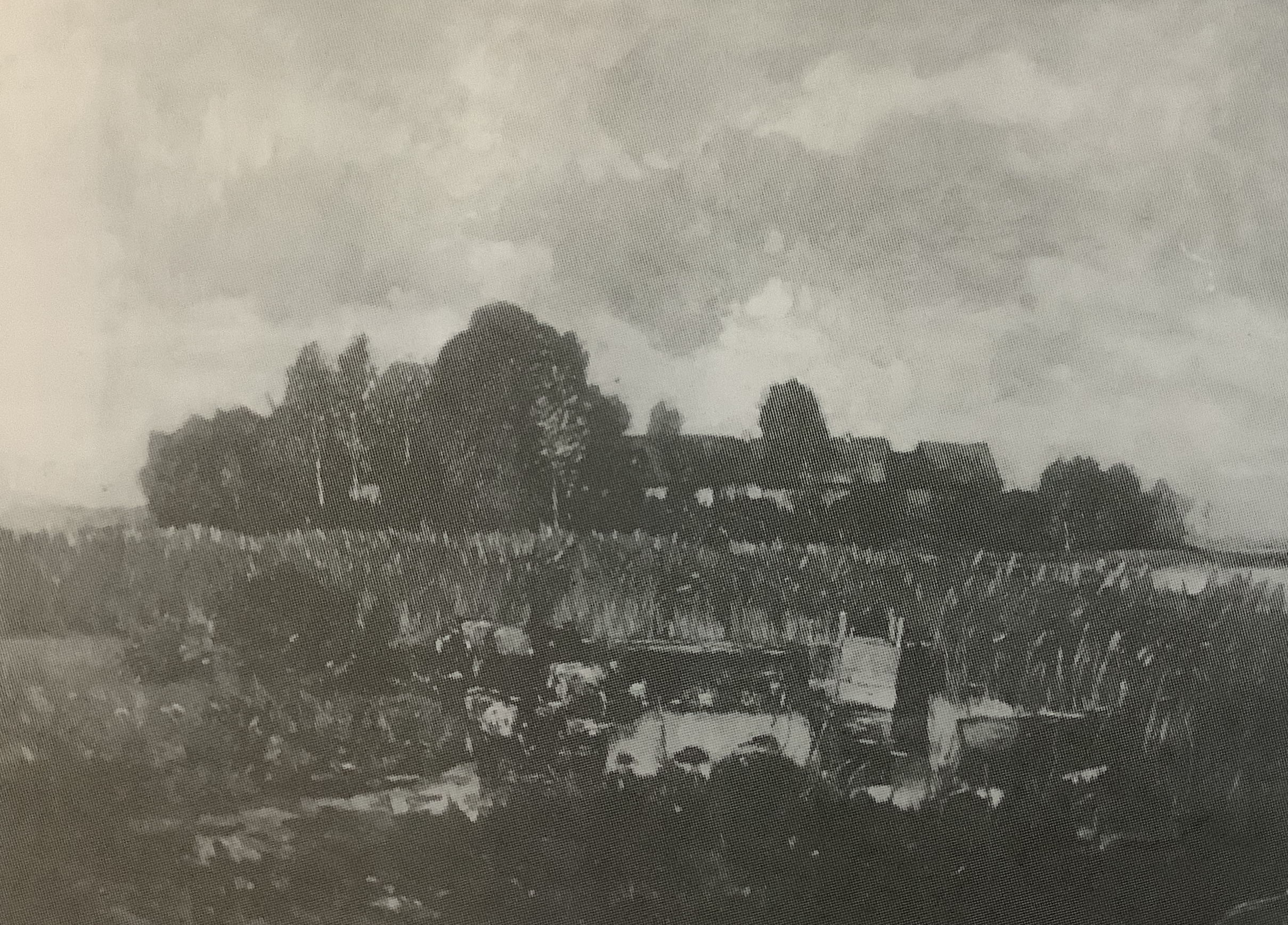 Landschaft mit weidenden Kühen (Kühe am Weiher), Kähnsdorf bei Beelitz, um 1880 Landschaft mit weidenden Kühen (Kühe am Weiher), Kähnsdorf bei Beelitz, um 1880