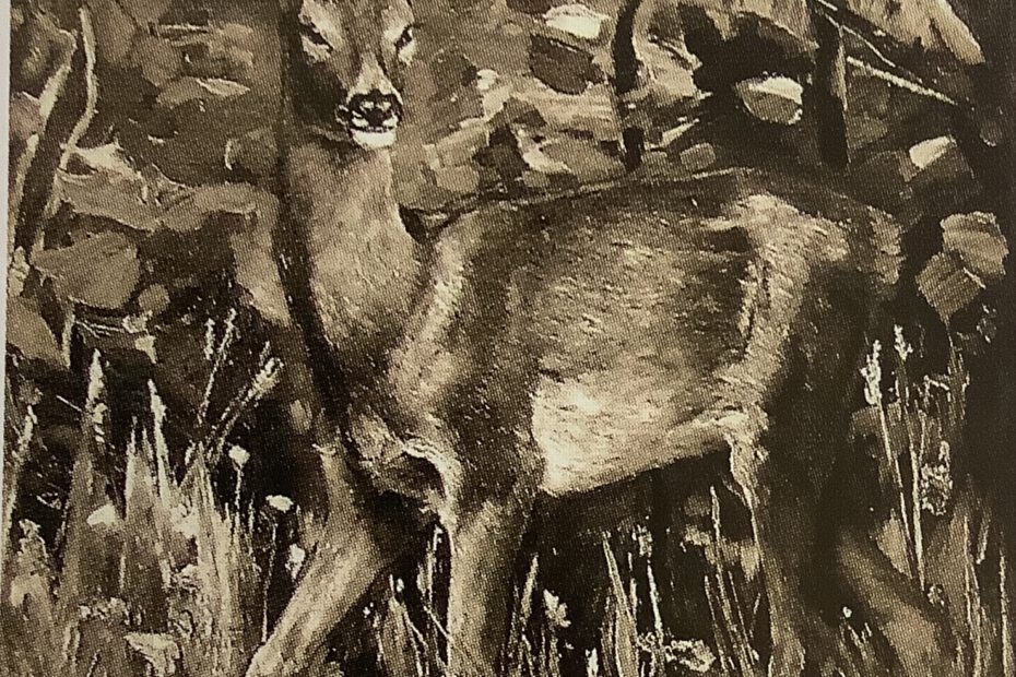 Reh im Walde, um 1883