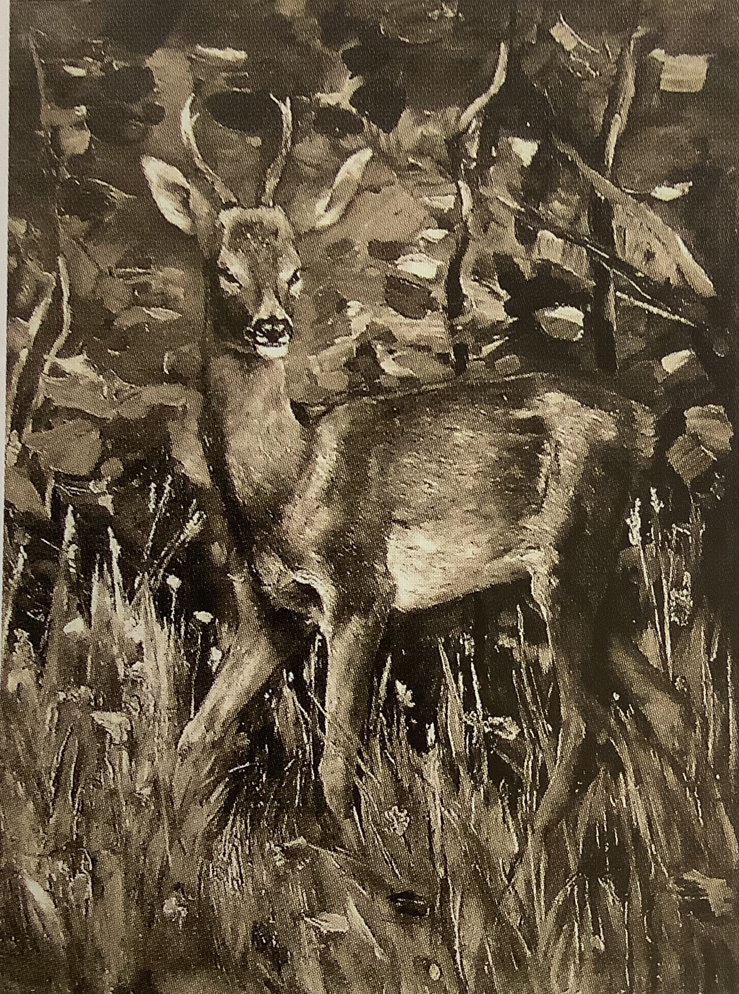 Reh im Walde, um 1883