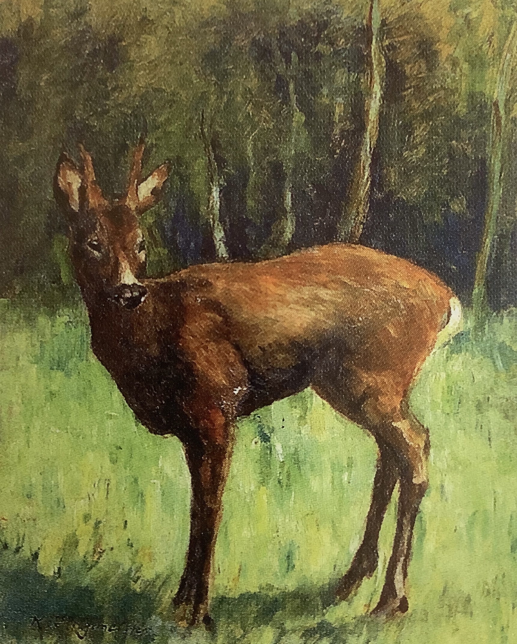 Rehbock, um 1886