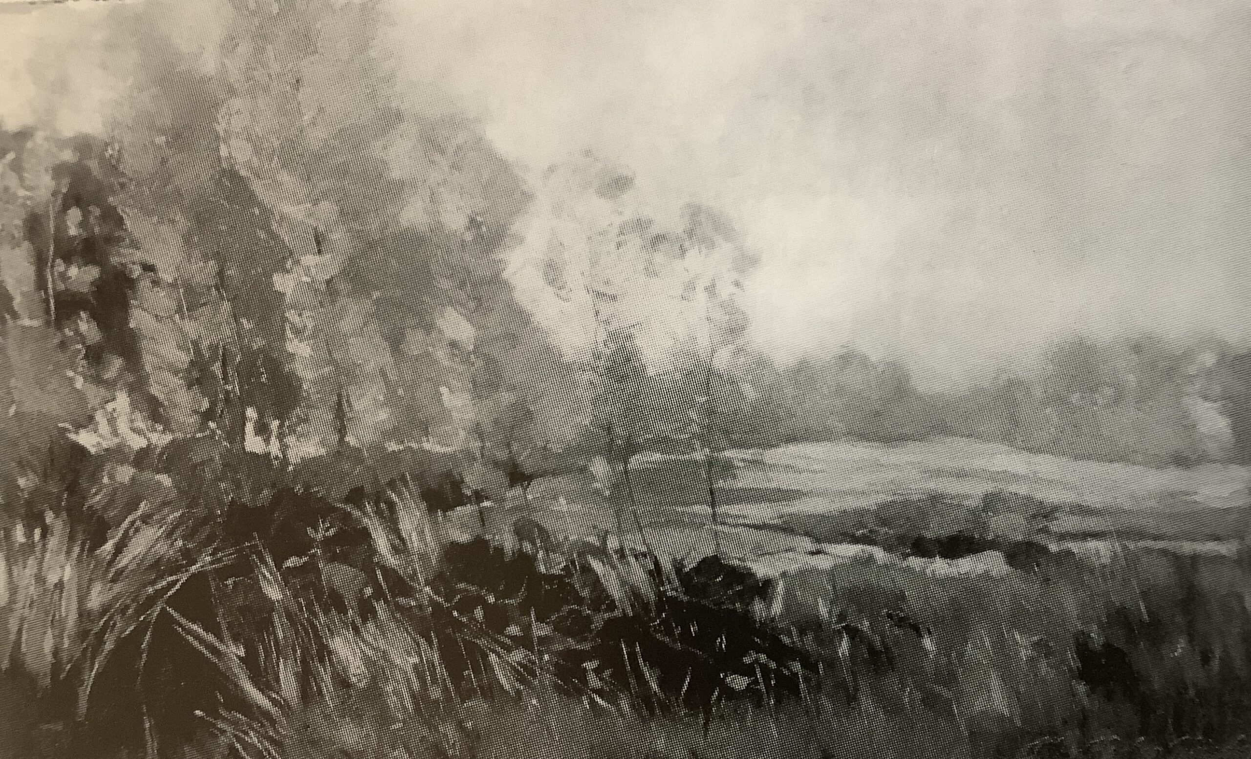 Rehe am Waldesrand - Herbst, um 1886