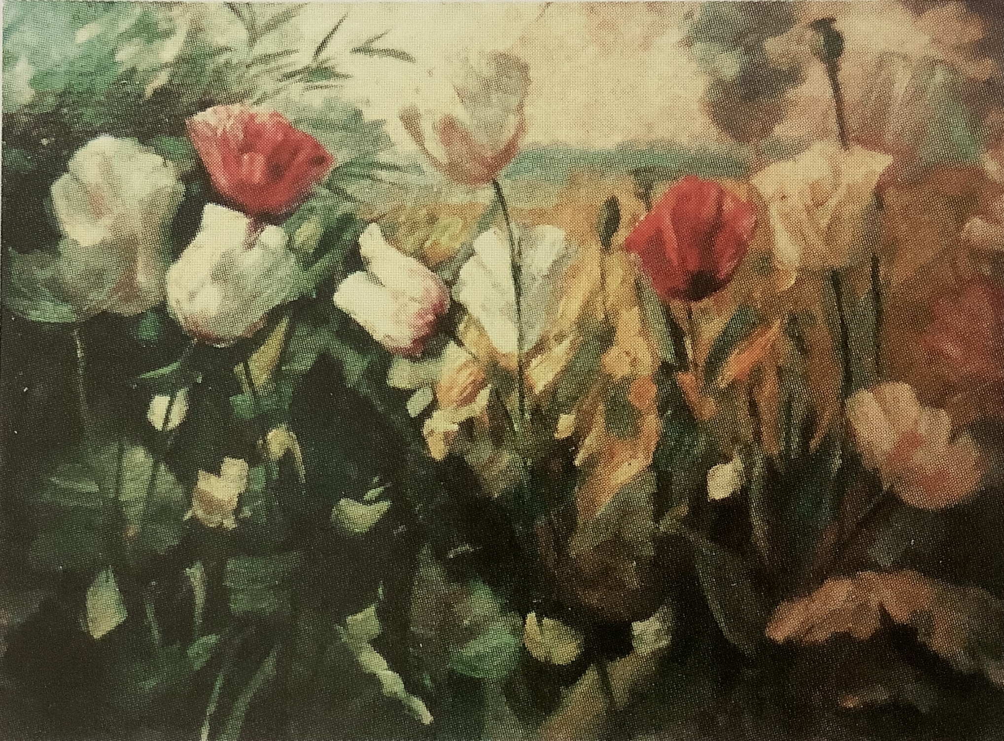 Rote und weiße Mohnblumen, um 1882